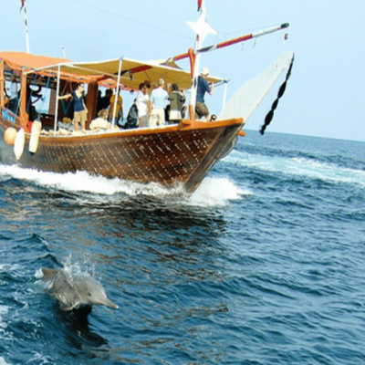 1-Day-Dolphin-Tour-Wasini-From-Diani