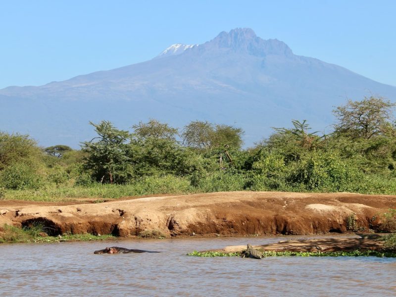 crocodile-mount-kenya-safari