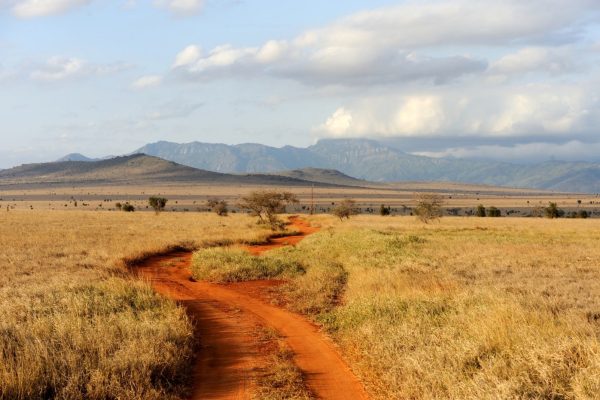 savannah-landscape-national-park-kenya-africa-min